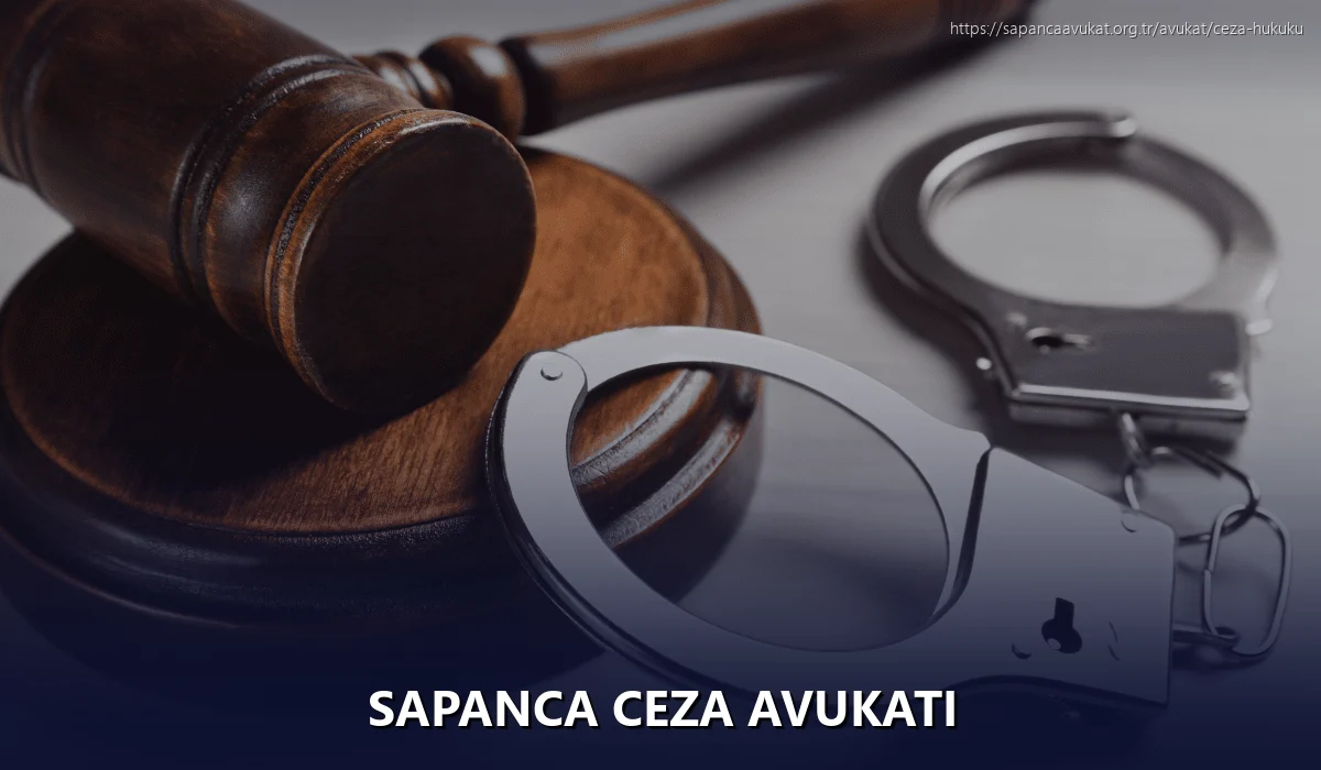Sapanca Ceza Avukatı